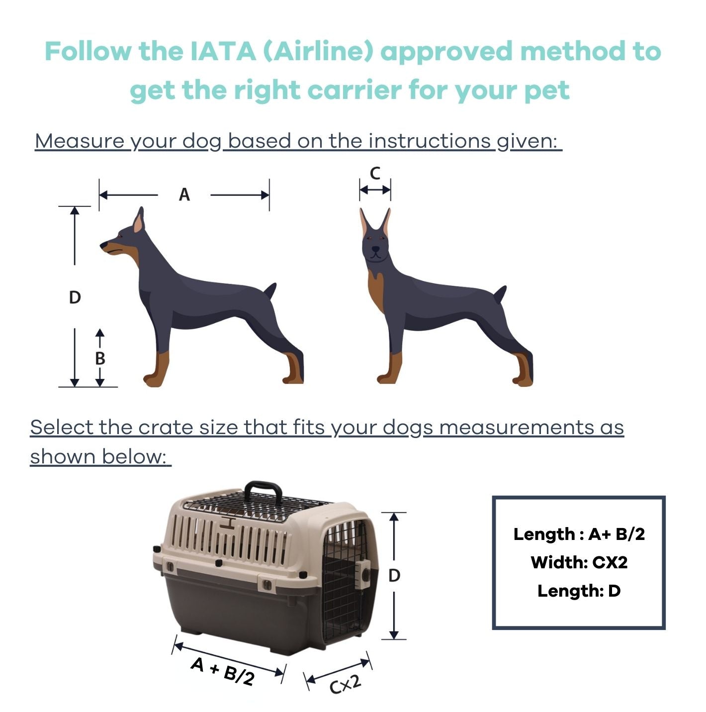 Deluxe pet carrier (Dog travel crate can hold upto 10 KG)