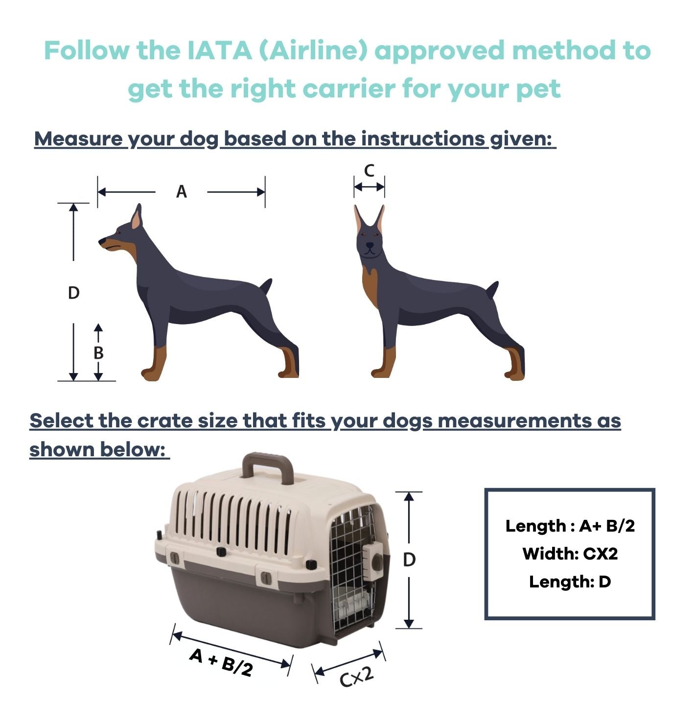 Airline approved pet carrier (Dog travel crate can hold upto 10 KG)