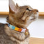 Carousel - Striped Rainbow Cat Collar