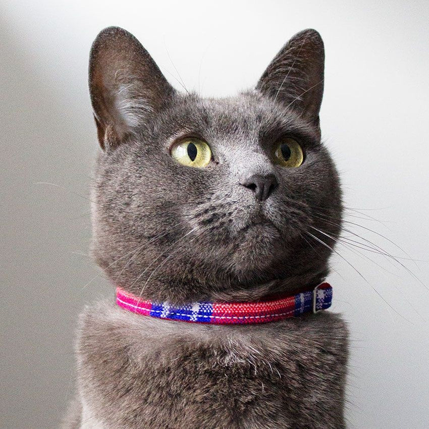 Shuka red cat collar